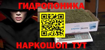ГАЛЛЮЦИНОГЕННЫЕ ГРИБЫ Гусиноозёрск