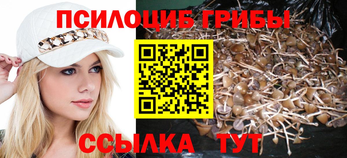 Нижнеудинск  Псилоцибиновые грибы GOLDEN TEACHER  Галлюциногенные грибы MAGIC MUSHROOMS  купить закладку  Вход с VPN 
